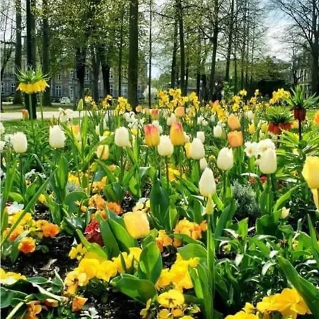 Appartamento La Des Maraichers Colmar