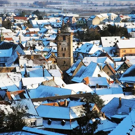 La Des Maraichers Appartamento Colmar