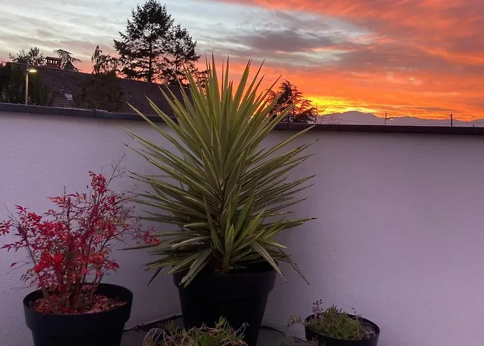 La Des Maraichers Apartment Colmar