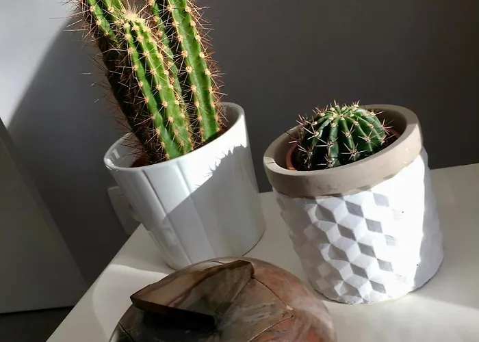 Appartamento La Des Maraichers Colmar