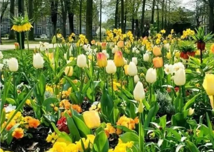 Apartment La Des Maraichers Colmar