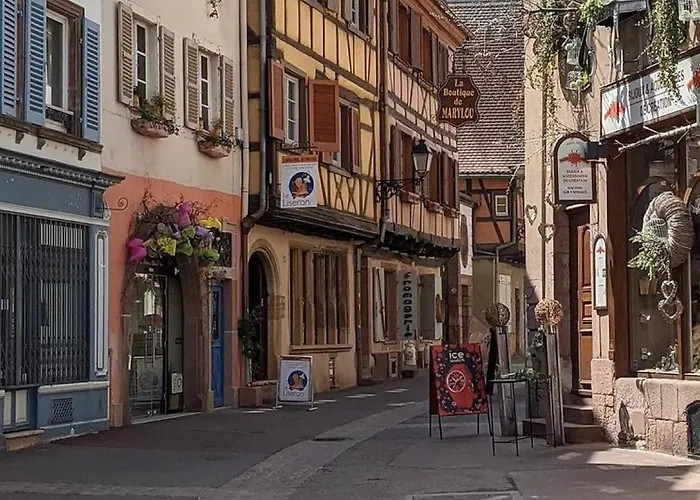 La Des Maraichers Colmar